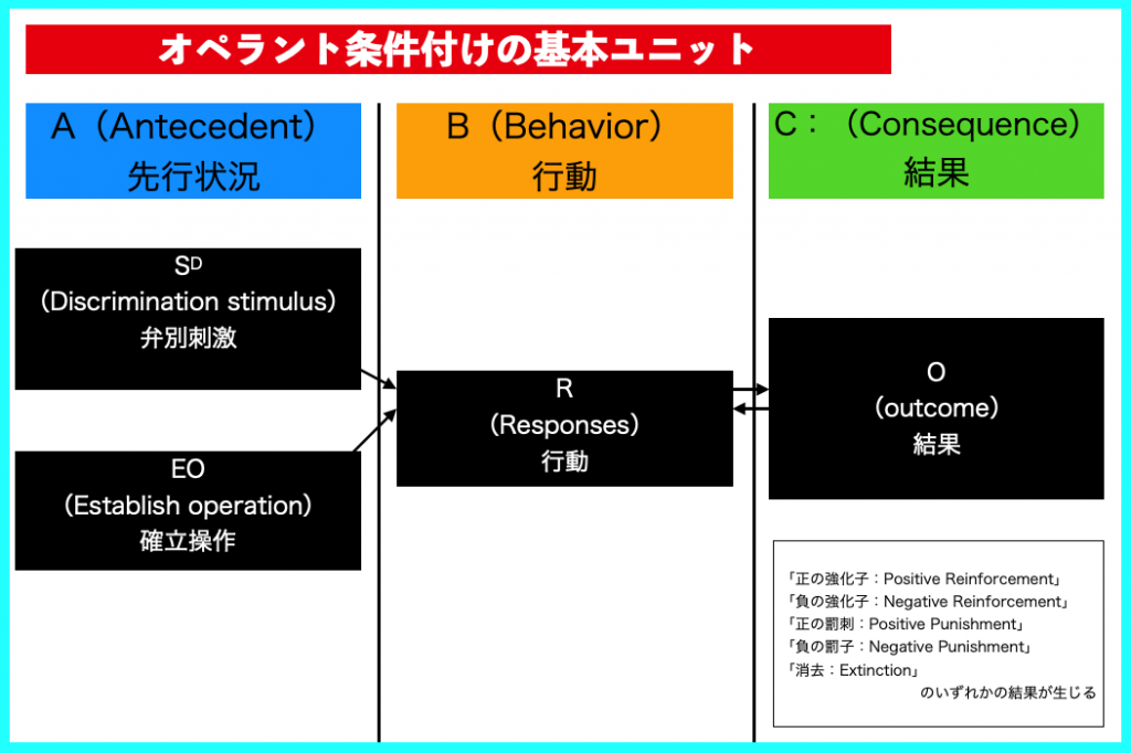 Aba自閉症療育の基礎１６ オペラント条件付けの基本ユニット Aba自閉症療育ﾌﾞﾛｸﾞエントモ