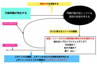 （ABA自閉症療育の基礎６８）療育の問題行動解決とは？ケースフォーミュレーション、アセスメント方法から介入まで