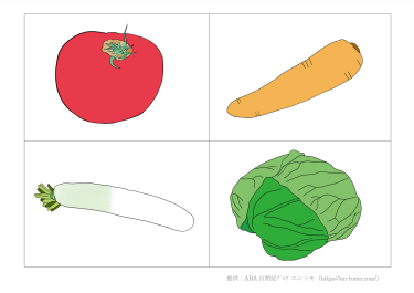 野菜の絵カード（ABA自閉症療育教材）