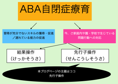 先行子操作で問題行動を一旦凌ぐ、ABA自閉症療育の問題対応方法の１つ（ABA自閉症療育テクニック１４）